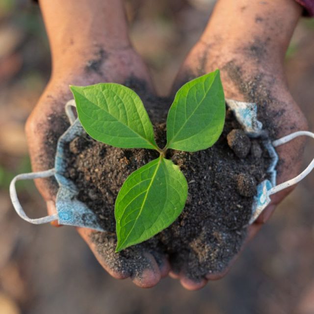 Juventud Curicana Aprende Insitu A Proteger La Biodiversidad Del Cerro