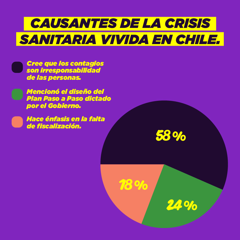 CAUSANTES DE LA CRISIS SANITARIA VIVIDA EN CHILE