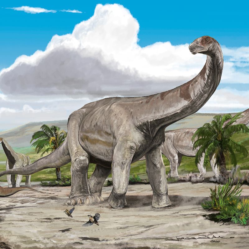 Descubren que los primeros dinosaurios se movían en manadas