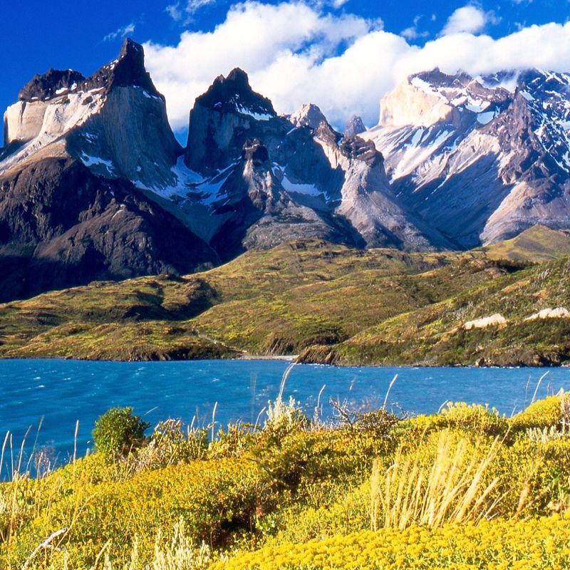 Región de Magallanes: Primera Región en fase de Apertura Avanzada