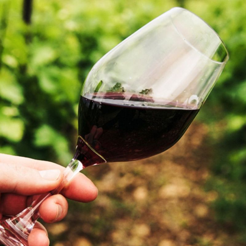 En un histórico 30% crecería producción de vinos este 2021, superando a Argentina
