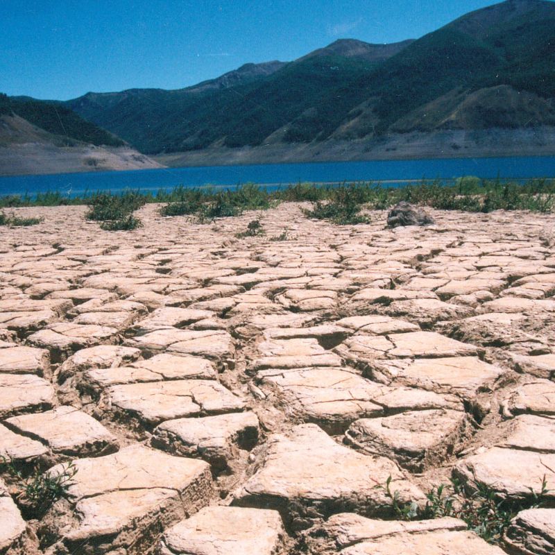 Crisis Hídrica del verano 2022 es comparable con la de 1998 en el Maule