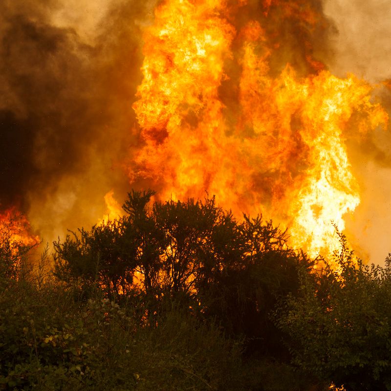 Gobierno regional financiará equipamiento para el combate de incendios forestales a bomberos maulinos