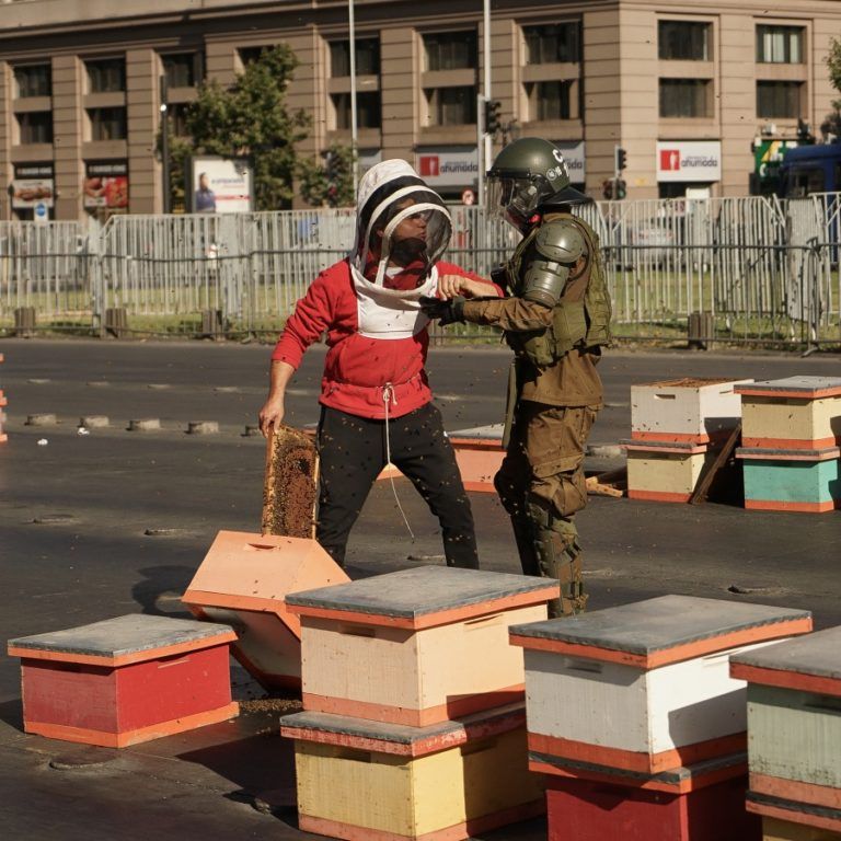 Inusual protesta de apicultores frente a La Moneda