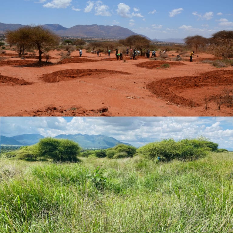 Ingeniosa técnica busca frenar la degradación del suelo en África