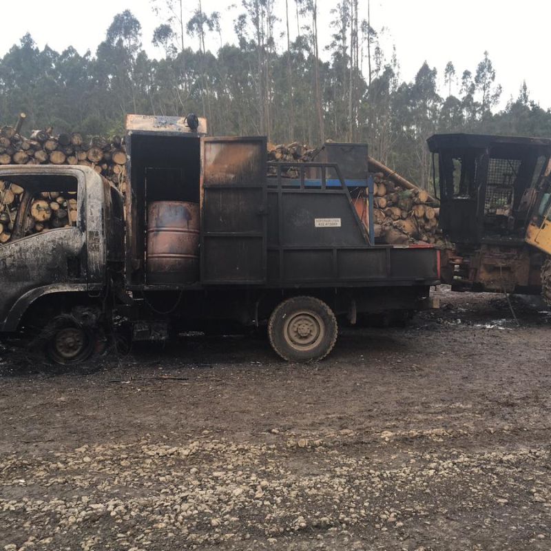 Macrozona Sur: Asesinan a dos guardias de seguridad en Fundo de Forestal Miminco