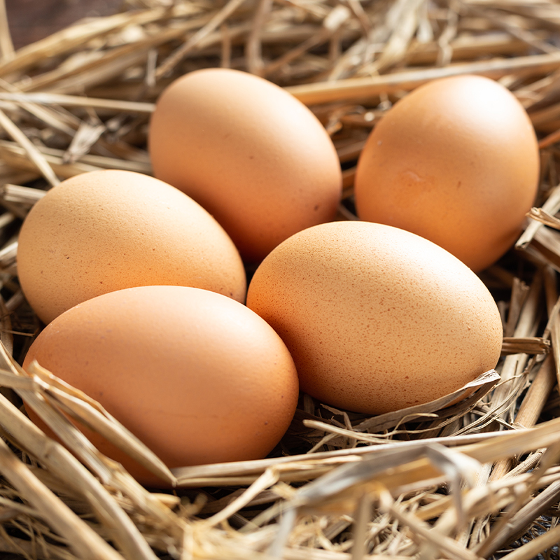 Francisco De La Peña, descubridor del “súper alimento” para gallinas “Super huevos”, el alimento del futuro