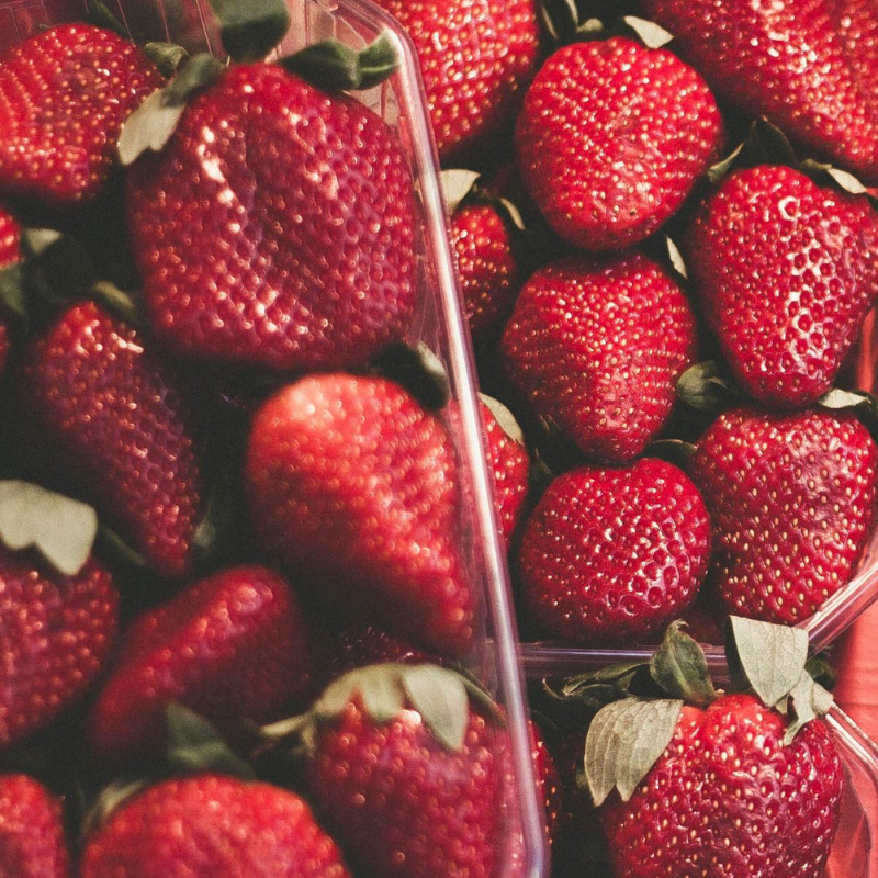 SAG autoriza nueva partida de plantas libres de nematodo de las frutillas llegando a los 12 millones disponibles