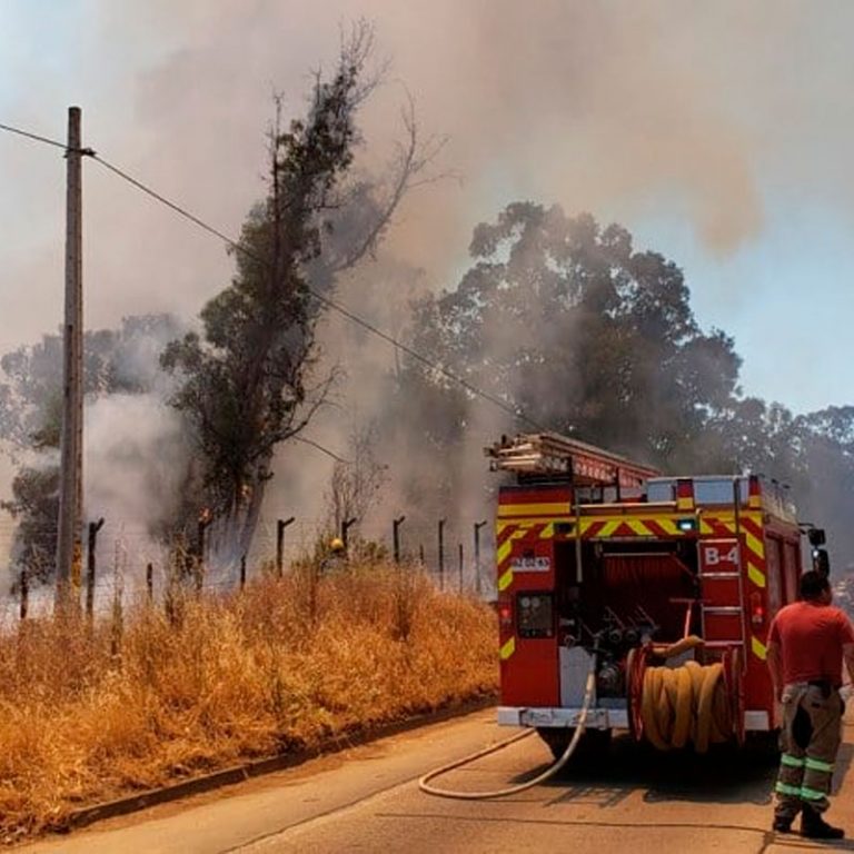 “alerta Roja” Declaran Para Cauquenes Y Alrededores Por Avance Imparable De Incendio Forestal 8486