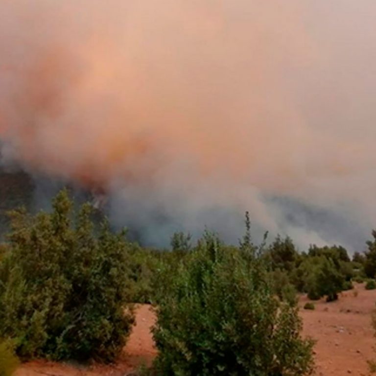 Alerta Roja Para Longaví Por Incendio Que Destruyó Más De 80 Hectáreas Lo Mismo Se Decretó 0773