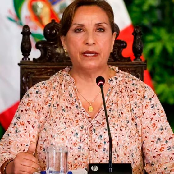 OEA Acusa A Presidenta Del Perú, Dina Boluarte Y Su Gobierno, De ...