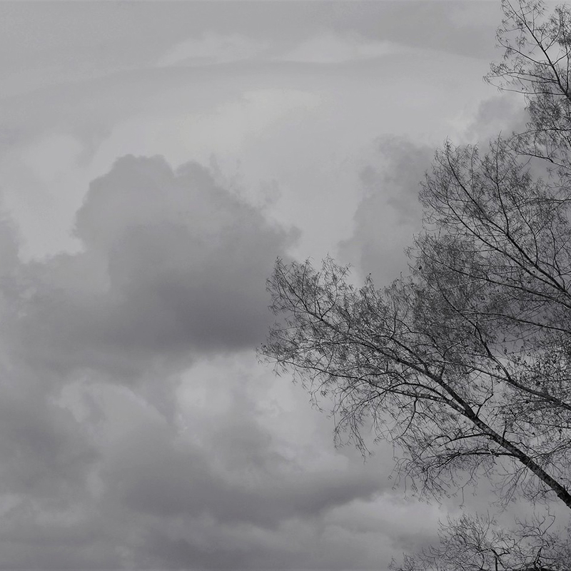 Pronostican variante climática extrema para Chile: La Niña costera podría traer sequía a la Región del Maule