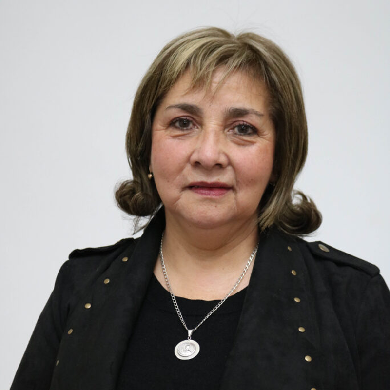 Sandra Cecilia Amestica Gaete