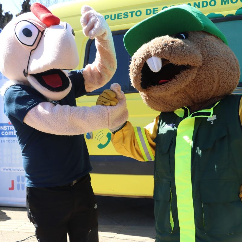 Con Condorito y Forestín, CONAF lanzó campaña educativa para combatir la tala ilegal de bosque nativo
