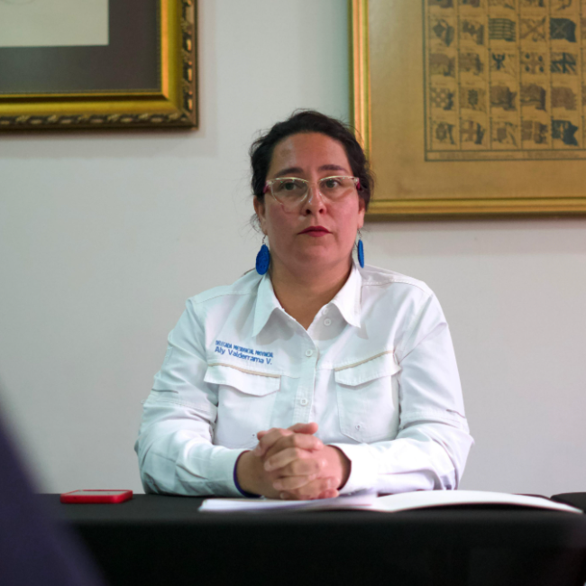 Delegada Presidencial anuncia fuertes vientos, especialmente en el sector nororiente de Linares, para este viernes y el sábado
