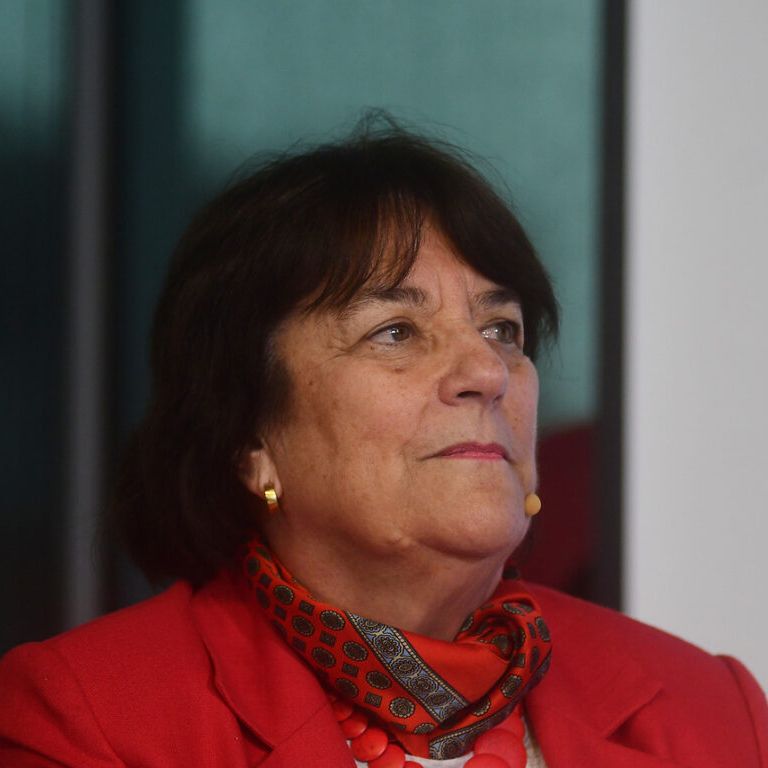 “Dije claramente que hay terrorismo", aclara ministra Delpiano, por sus dichos sobre la CAM