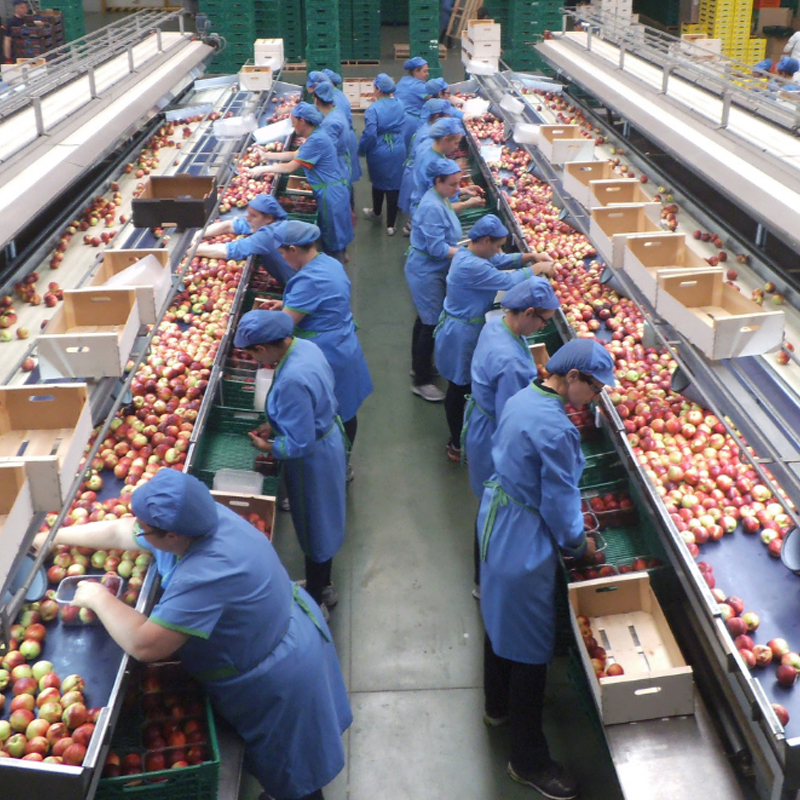 Empleos privados siguen al alza en el Maule, afirma Termómetro laboral de la UCM