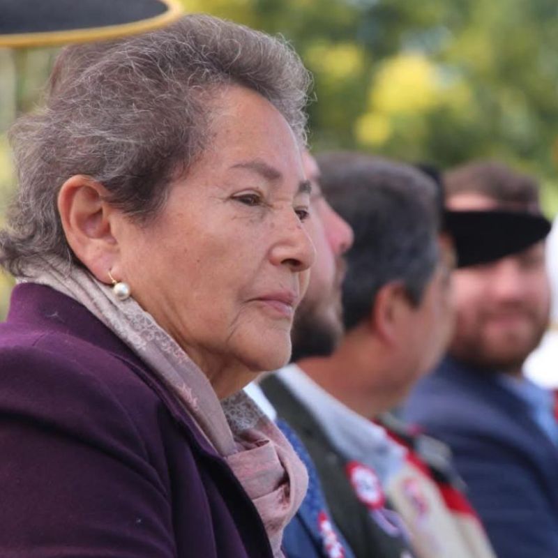 En desembocadura del Río Maule, en Constitución, se realizó operativo de búsqueda de cuerpo de Concejala de Villa Alegre, María Ignacia González