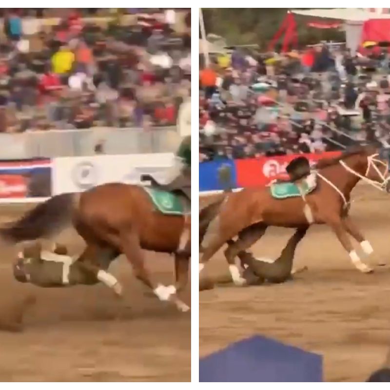 Grave accidente tuvo carabinero del Cuadro Verde, tras caer de su caballo, mientras se presentaba en la Semana de la Chilenidad