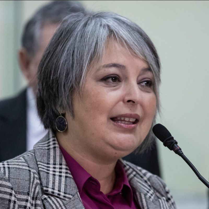 “Eso lo califican los tribunales, no los presidentes, ni menos los candidatos”, afirma Jeannette Jara, por terrorismo en la Araucanía