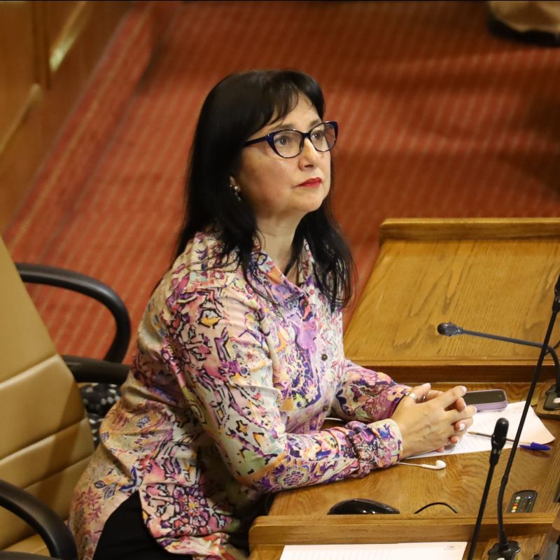 “Lo esencial es entender que tanto chilenos como extranjeros deben trabajar en condiciones dignas”, señala diputada Marzán, por migrantes en trabajos agrícolas