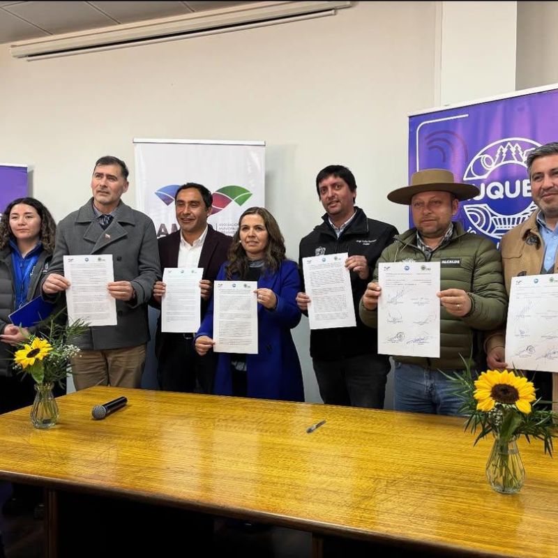 Representantes de Maule, Ñuble y Biobío se reunieron para buscar soluciones en conjunto para rechazar proyecto eléctrico Itahue-Haulqui