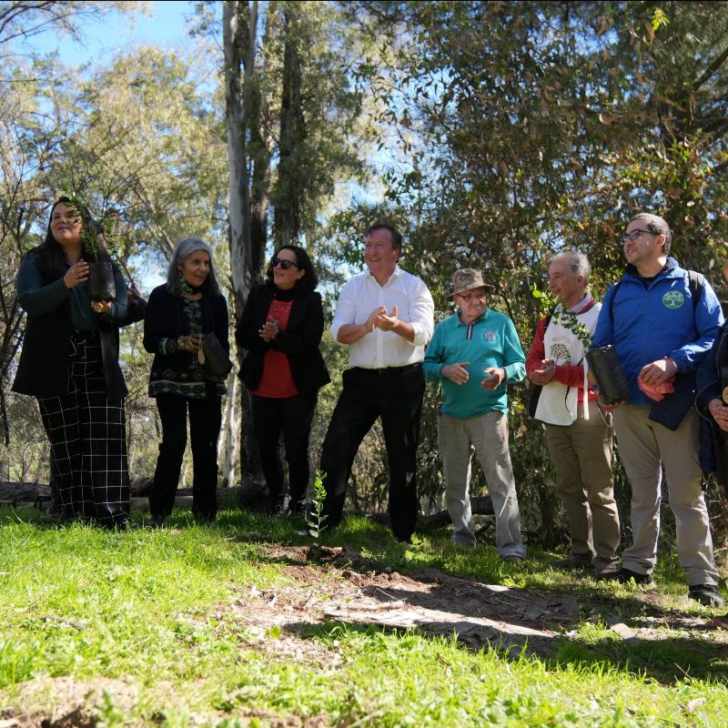 Talca impulsa la plantación de árboles nativos en Bosque Municipal para entregar un renovado pulmón verde a la ciudad