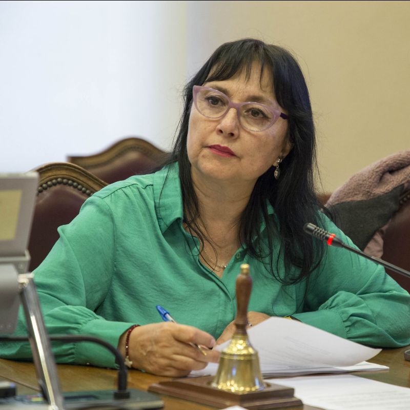Tras fatales accidentes, diputada Marzán pide urgencia para “Ley Alberto”, que exige test de drogas a choferes de microbuses