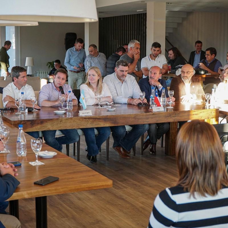 Tras una década, en Talca se realizará Comité de Integración binacional Paso Pehuenche 2025