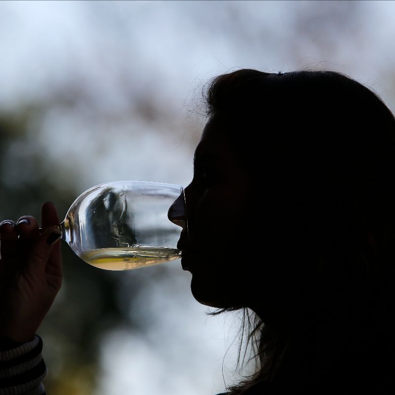 Avanza en el Congreso iniciativa que busca reconocer oficialmente al vino y al pisco como “símbolos nacionales”