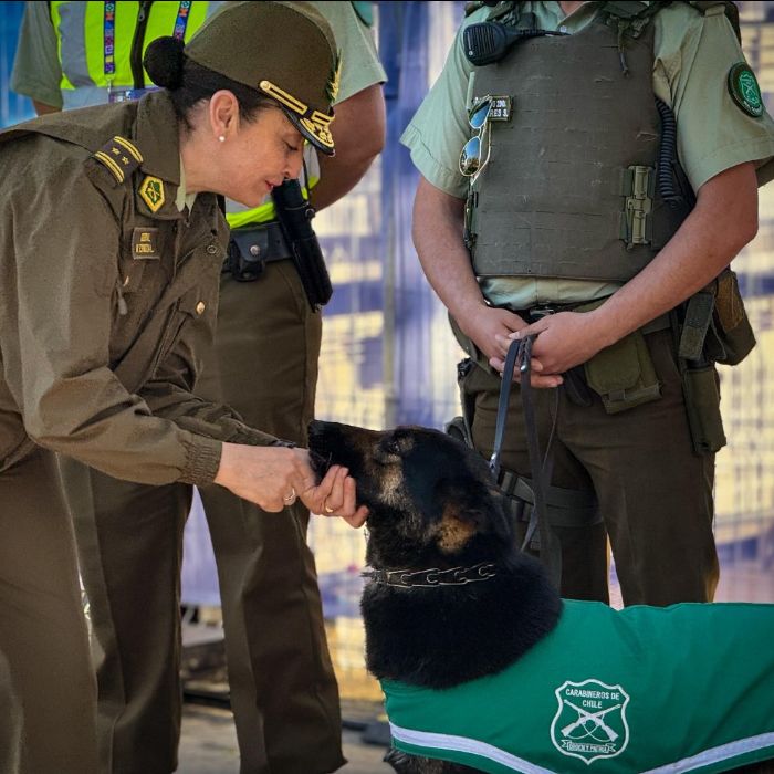 Carabineros junto con PDI aplicaron “Ronda Impacto”, en la cercanía del Estadio Fiscal de Talca, en nueva jornada del Mundial Sub 20