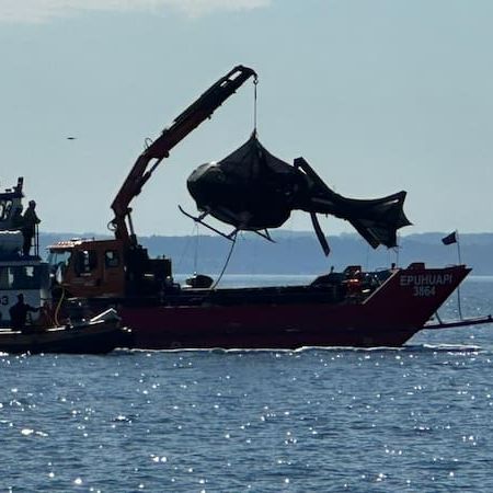 Familia Piñera Morel valora informe de la DGAC, que indica que el accidente fue obra de un fenómeno fortuito