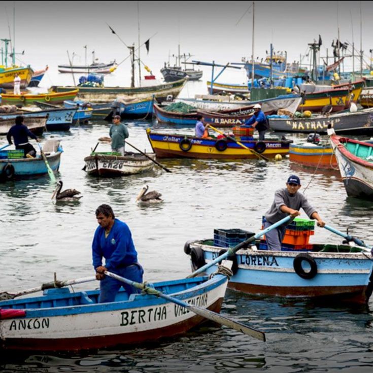 Gobierno anuncia beneficios para la pesca artesanal y la sostenibilidad costera de La Higuera