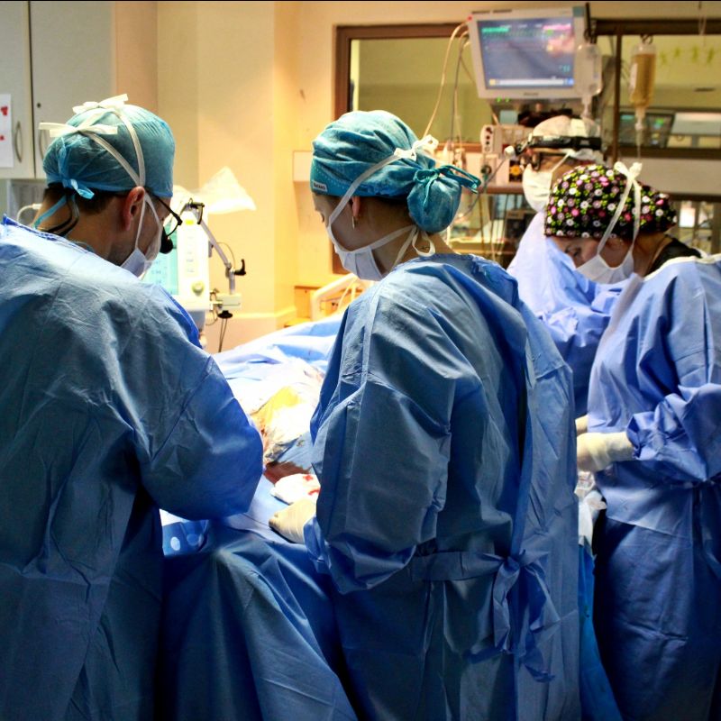 Hospital Roberto del Río utiliza bótox para transformar la movilidad de niños con parálisis cerebral