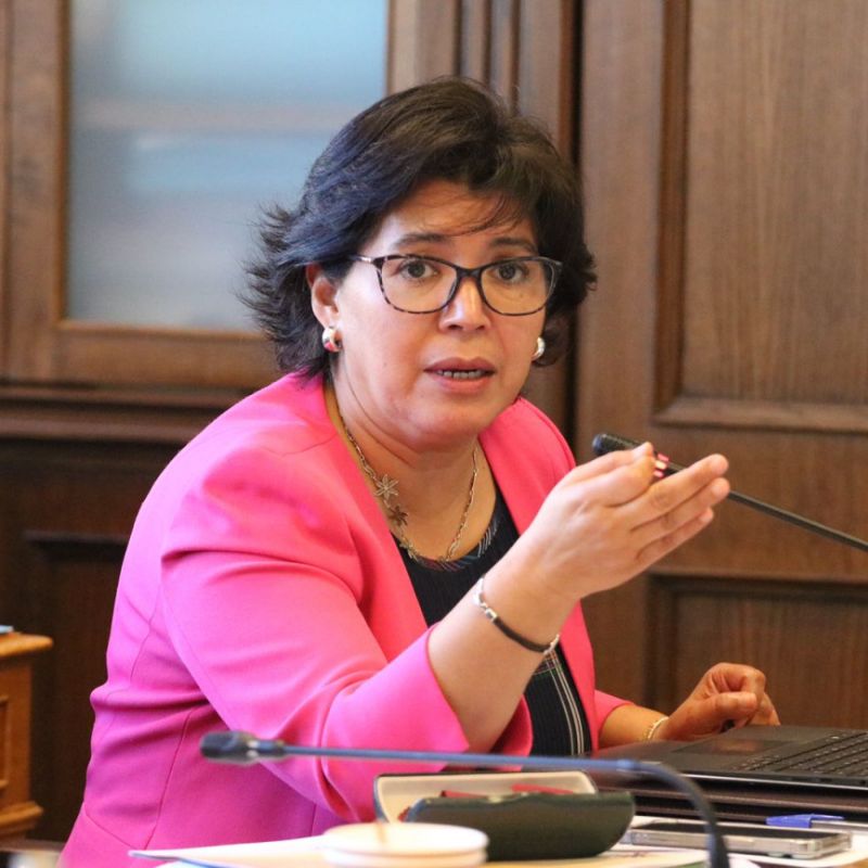 “La CNE debe asumir responsabilidad ante inconcebible error que dañó a 7 millones de hogares y compensar a afectados ahora”, exige senadora Provoste