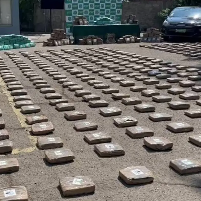Operación Los Duques de Cali: Carabineros desarticuló banda transnacional y sacó más de una tonelada de droga de las calles