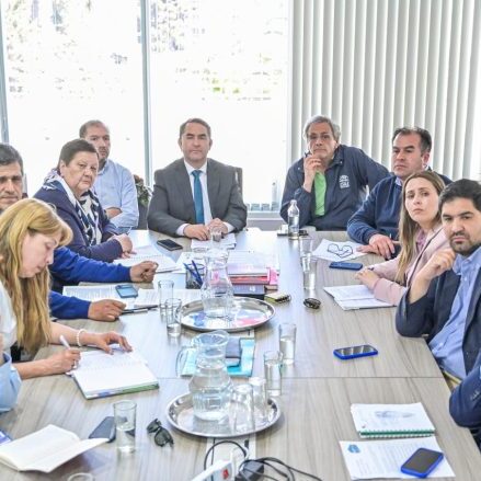 Se logró acuerdo entre Gore y EFE para habilitar paradas intermedias del Ramal Talca-Constitución