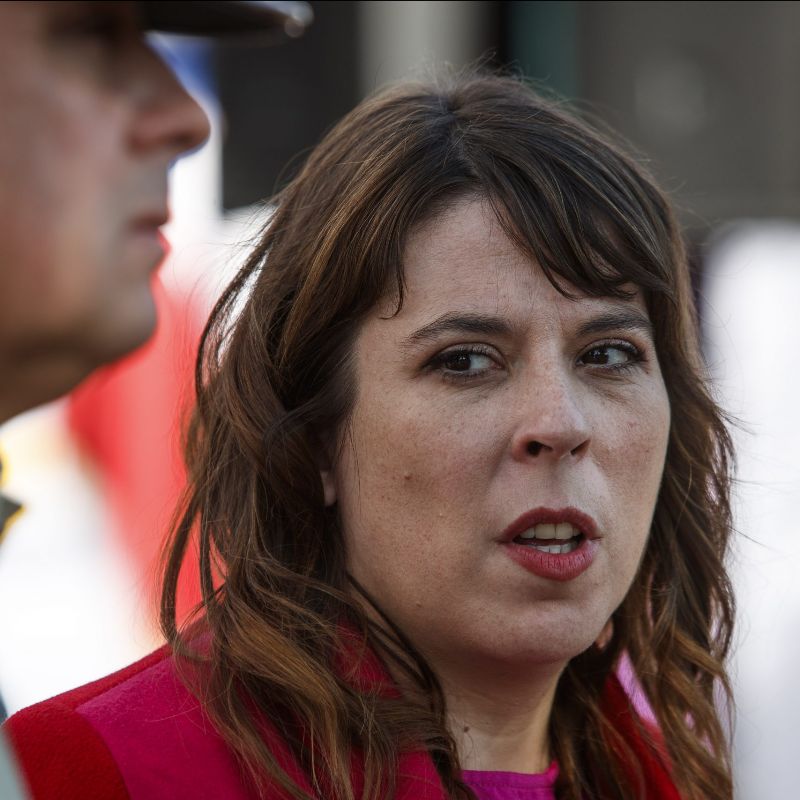 “Su sector ha vivido muchas crisis”, cuestiona Francisca Martínez al Socialismo Democrático, tras salida de Pardow, por escándalo de cuentas de la luz