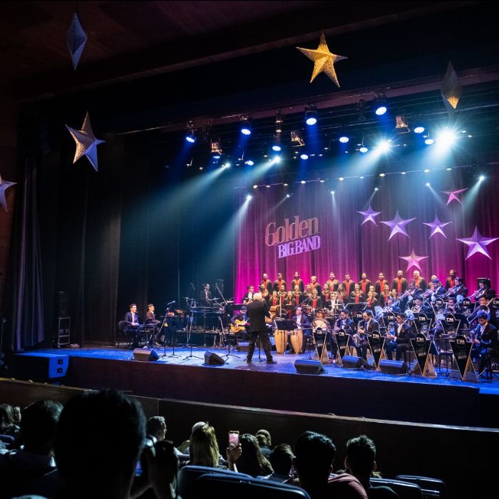 TRM logró financiamiento para gestión cultural, gracias a gestión de senadores Vodanovic y Castro y alcalde de Talca, Juan Carlos Díaz