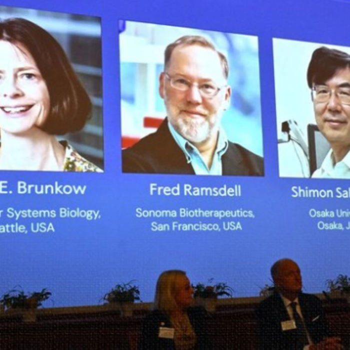 Un trabajo sobre cómo el sistema inmunitario puede proteger a las células sanas, obtuvo el Premio Nobel de Medicina. Sus autores, un japonés y dos norteamericanos, resultaron premiados