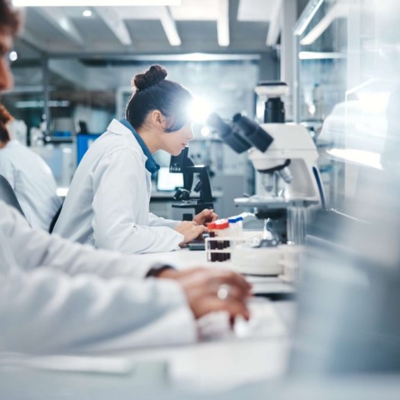 Alianza estratégica entre UCM y UTALCA impulsa la investigación e innovación en la Región del Maule