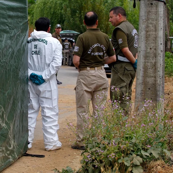 Detención de nueve personas tras hallazgo de cuerpos en San Vicente de Tagua Tagua