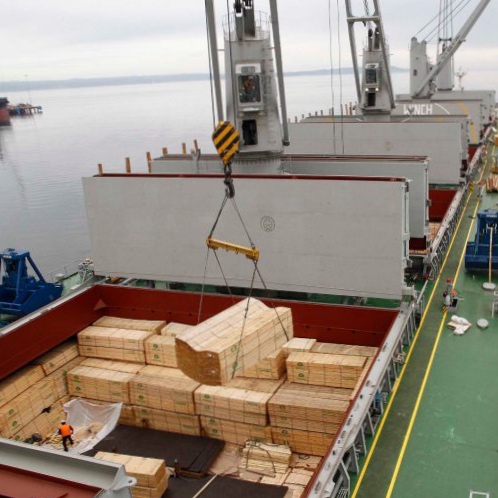 Incertidumbre en el sector forestal tras primer mes de arancel estadounidense del 10%