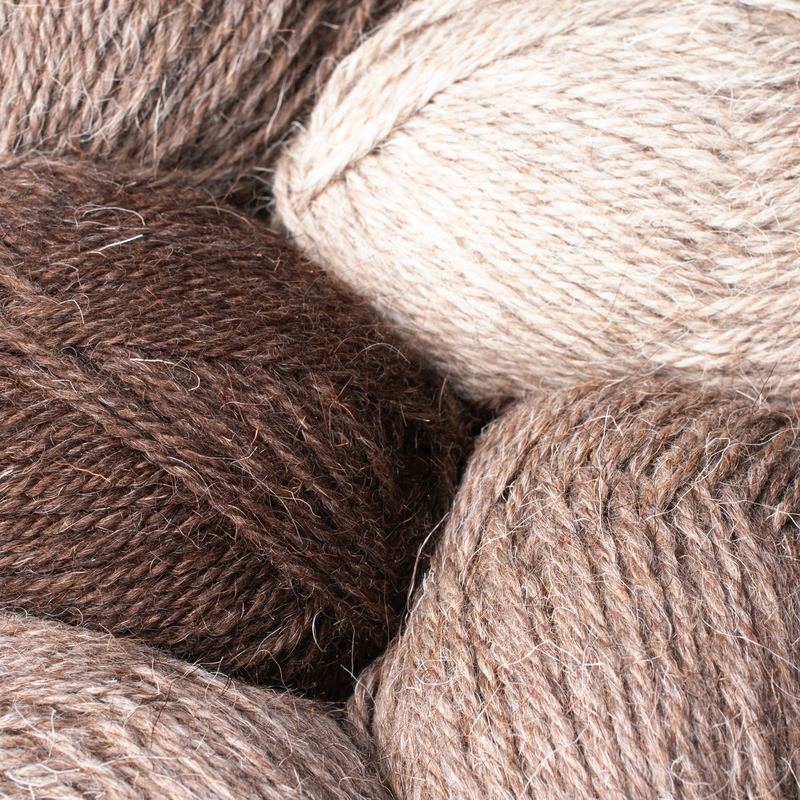 India aprueba importación de lanas chilenas: Hito para el sector ovino nacional