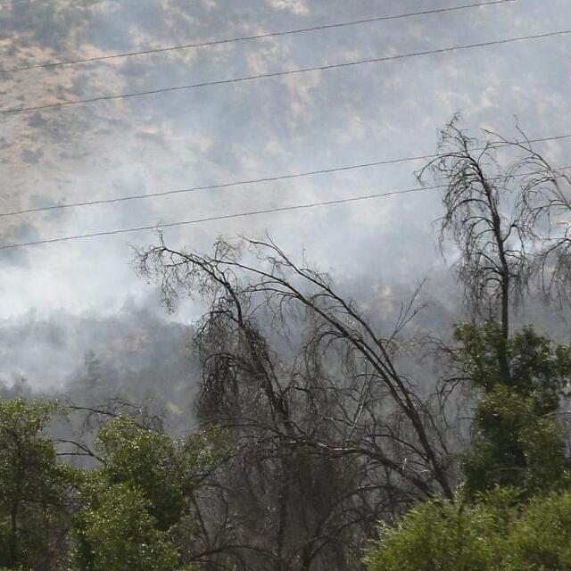 Senapred declara alerta roja en La Estrella por incendio forestal en O'Higgins