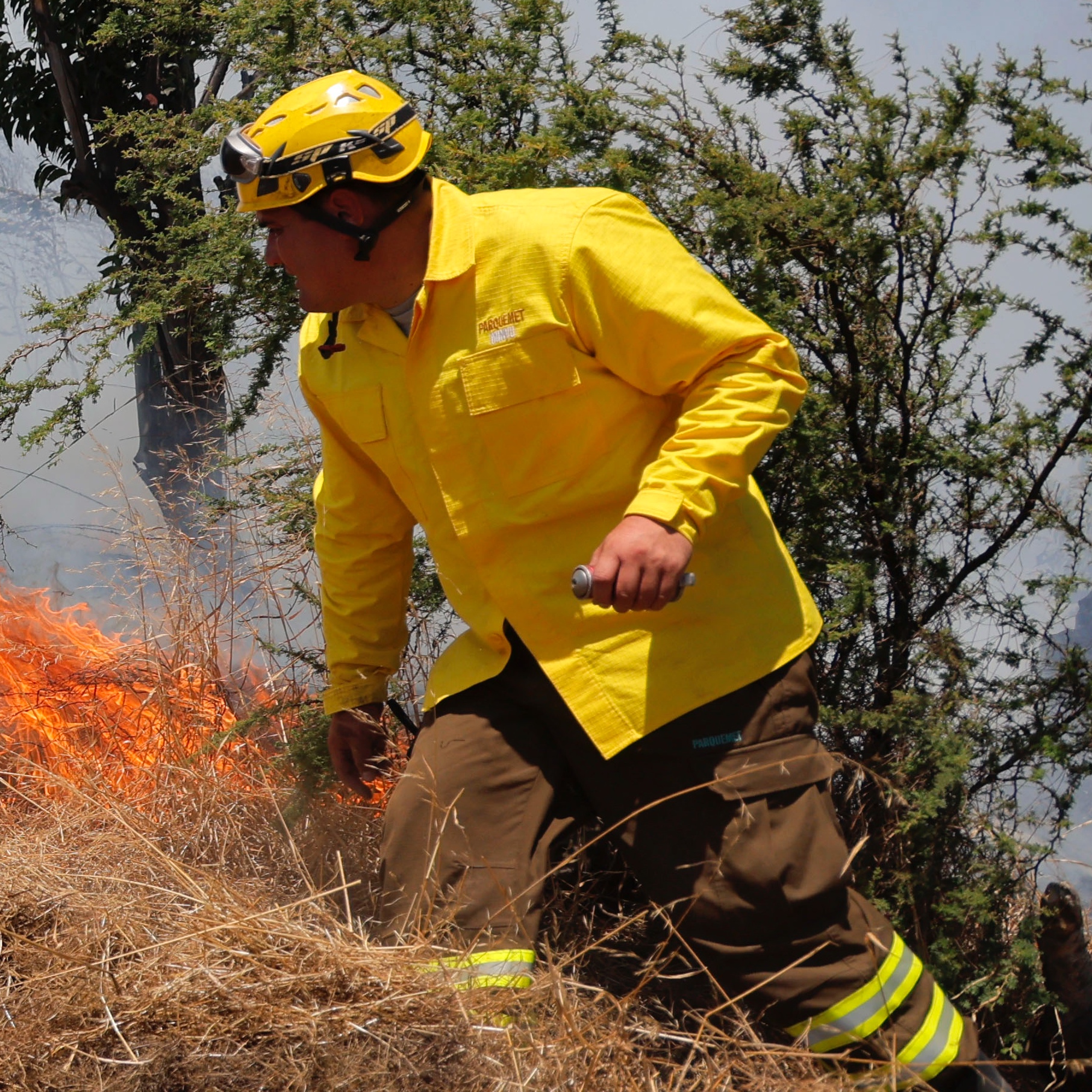 Senapred ordena evacuación en Limache por incendio forestal en sectores Borriqueros y Queronque