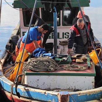 Siete medidas para impulsar la pesca artesanal en Chile: Oportunidades y desafíos