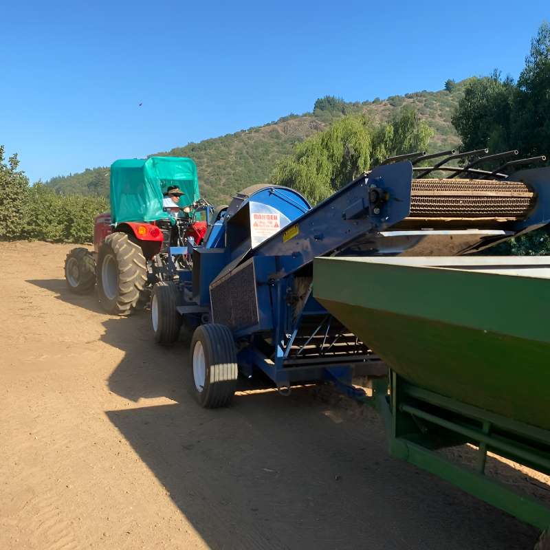 Inversión agrícola en transición: el avellano europeo se consolida como alternativa estructural