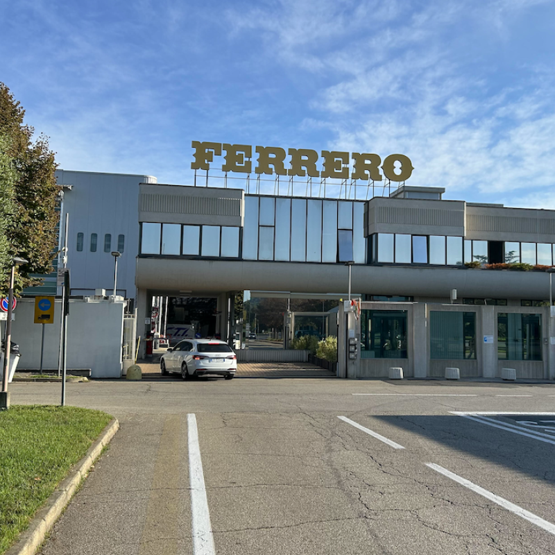 Ferrero invierte US$94 millones en Chile y reafirma la importancia estratégica del avellano